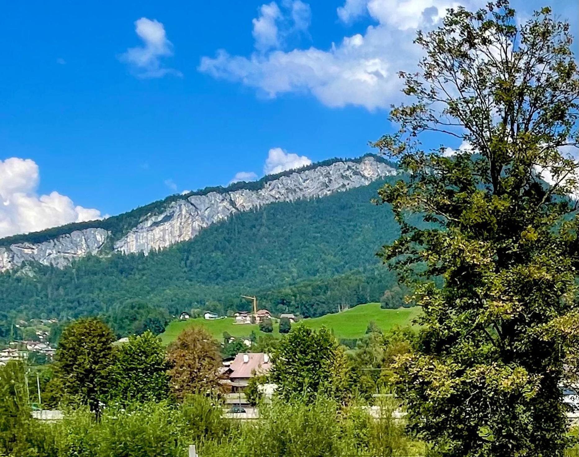 Mitzis Stubn Apartments - Bad Goisern - 24-Hour Self Check-In Dış mekan fotoğraf